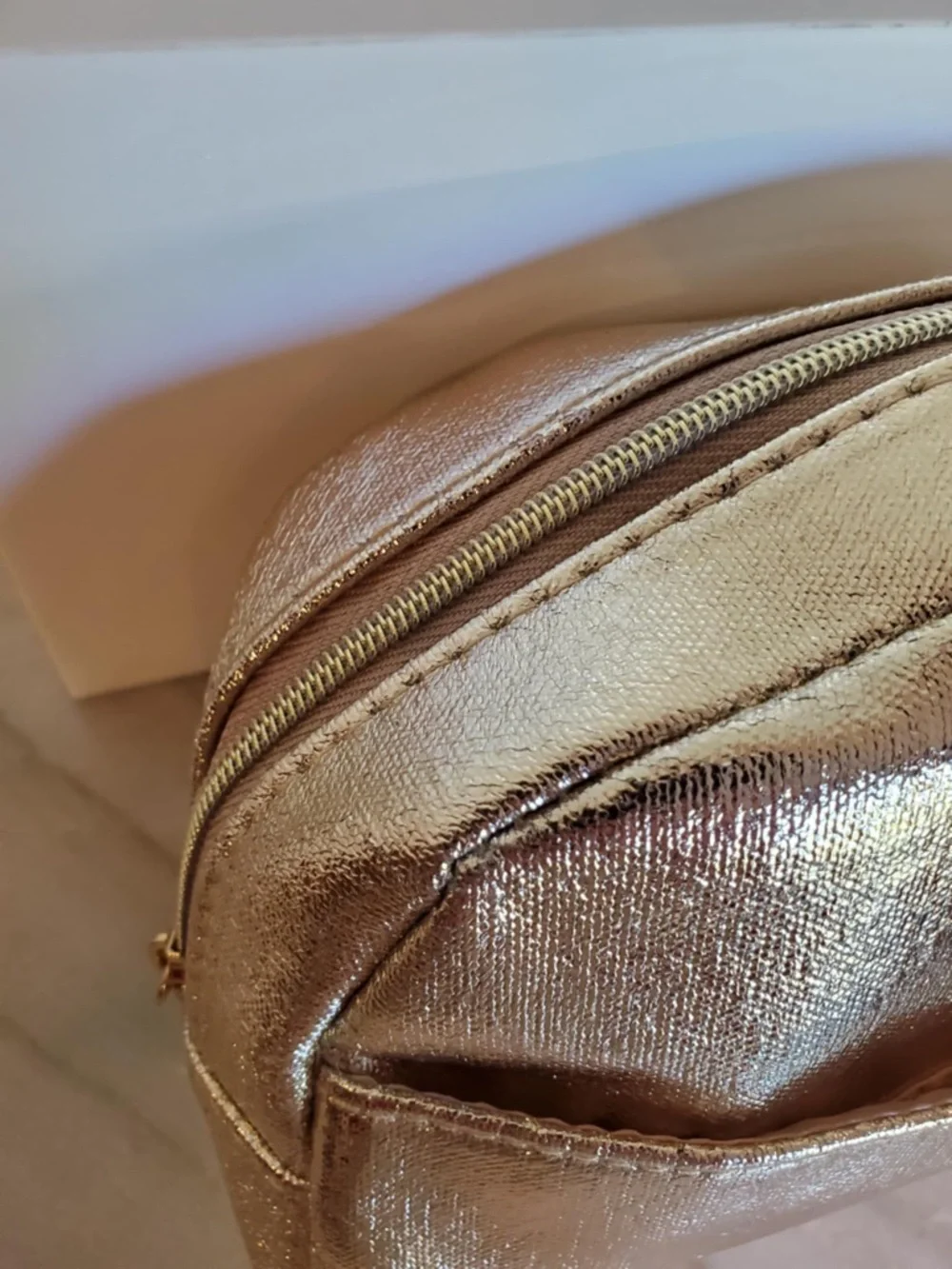 Lancome Shimmer Cosmetic Bag